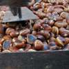 Le castagne - foto di Daniele Suzzi