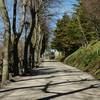 Strada che porta al Forte - foto di Daniele Suzzi