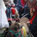 Mercatini del Natale Sant'Agata Feltria