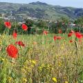 Foto di copertina de La Valmarecchia