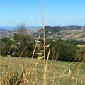 Foto copertina de La Valmarecchia